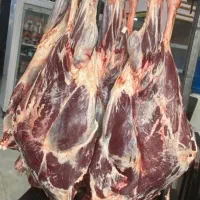 توزیع عمده گوشت گرم و منجمد