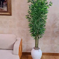 بامبو مصنوعی پر حجم