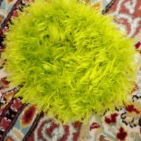 اسکاج خوب برای ظرفشویی