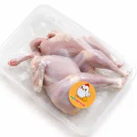 فروش نیمچه مرغ و خروس محلی سالم