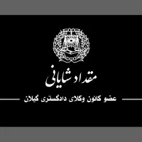 وکیل دادگستری