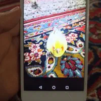 گوشی Honor 6X|موبایل|مشهد, استاد یوسفی (شهرک غرب)|دیوار