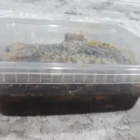 عسل طبیعی کوهستان ع