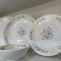 سرویس های ۲۵ پارچه بدنه ویدا(جدید ترین طرح و قالب)