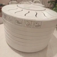 میوه خشک کن سایا