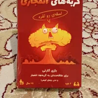 بردگیم گربه های انفجاری
