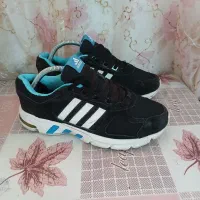 اکومنت ۱۰ zx8000 zx