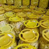 فروش عمده ترشی انبه میناب
