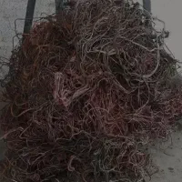 خریدو فروش