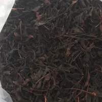 چایی دستی بهاره ۱۴۰۵ لاهیجان