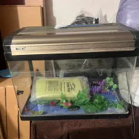 اکواریوم شرکتی