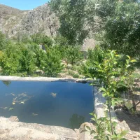 باغ-600متر-ی-درطرقبه-محله-حصار