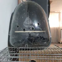کیف حمل پرنده (کوله پشتی)