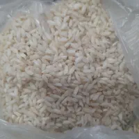 سبوس