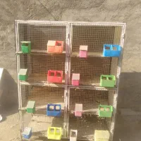 قفس آهنی جفتگاه