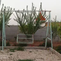 تاب باغی