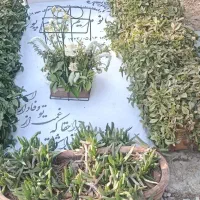 قبر-در-باغ-رضوان-اصفهان-کنار-همین-قبر