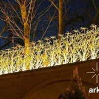 حفاظ شاخ گوزنی تولید وپخش