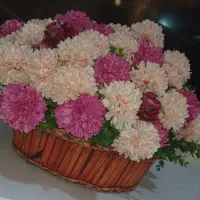 باکس گل|گل مصنوعی|ارومیه, |دیوار