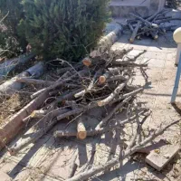 گود برداری تیلر زدن آره موتوری