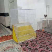 قفس پرنده