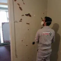 شرکت سمپاشی موریانه مجوزدار سم پاشی ضمانت ۱۰ سال