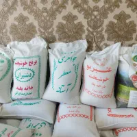 برنج هاشمی اقتصادی 190