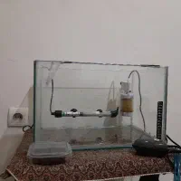 آکواریوم