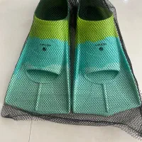 فین استخری