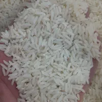 برنج گرگان به شرط پخت