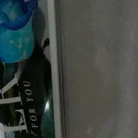 دفتر مشق   هنر