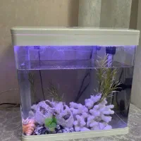 آکواریم دلسا k500