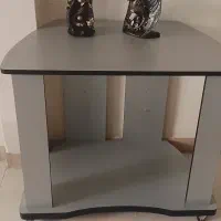 زیر تلویزیونی