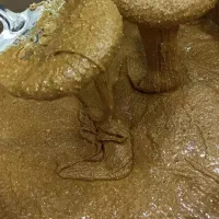 دوستان کسی خواست ما در خدمتتون هستیم