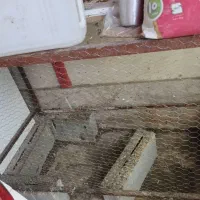 قفس مرغ خروس جوجه بلدرچین کفتر اردک سگ