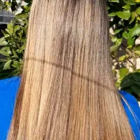 مدل برای احیا و صافی ( پروتئین و..