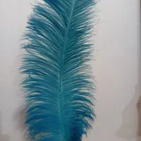 شاه پر