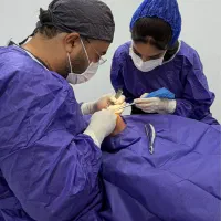 دندانپزشکی و ایمپلنت،تعرفه دولتی،بیمه،اقساط در صدرا-فارس، فاز ۱