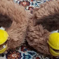 عروسک