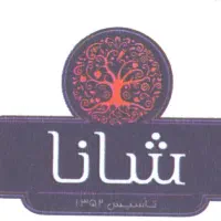 راننده بامشین