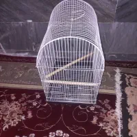 قفس عروس هلندی یا طوطی...