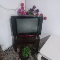 تلویزیون۲۱اینچ