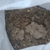 کود مرغ و بلدرچین
