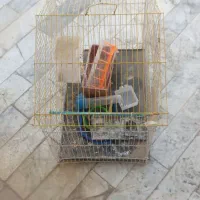 قفس پرنده با تمام لوازم