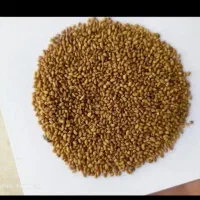 بذر یونجه اصل همدان