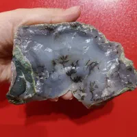 عقیق شجر