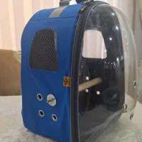 کوله حمل حیوانات عروس هلندی