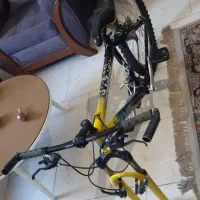 دوچرخه حرفه ای  VIVA - RATTLER (26)