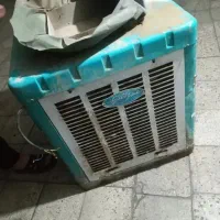 ۳۵۰۰درحدبدونه پوسیدگی
