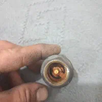 شیر